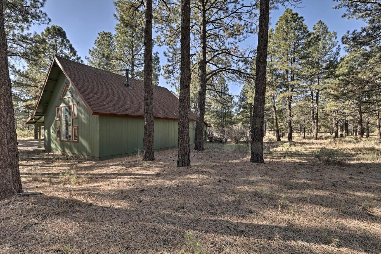 Family-Friendly Forested Home With Snow Play Area! Flagstaff Ngoại thất bức ảnh